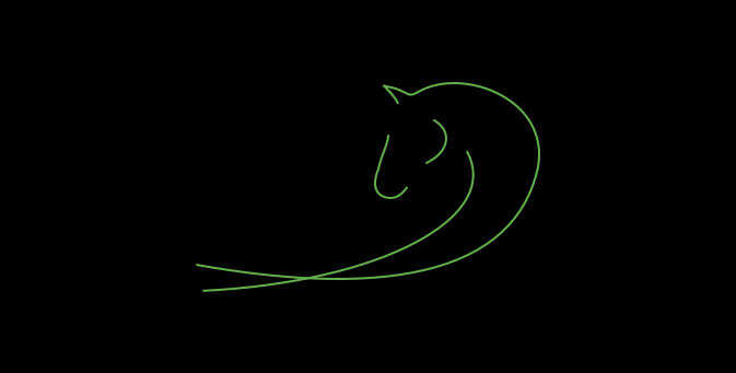 pferd equinova verdauung